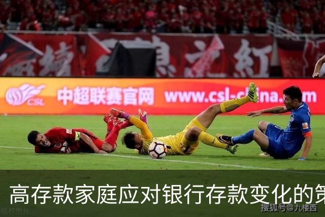 高存款家庭应对银行存款变化的策略研究